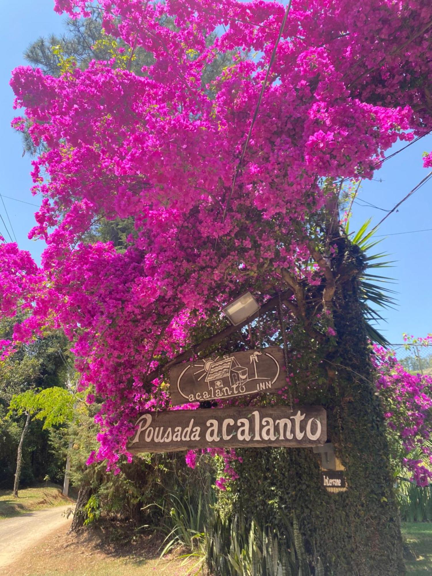 Acalanto Inn Socorro  Exteriér fotografie
