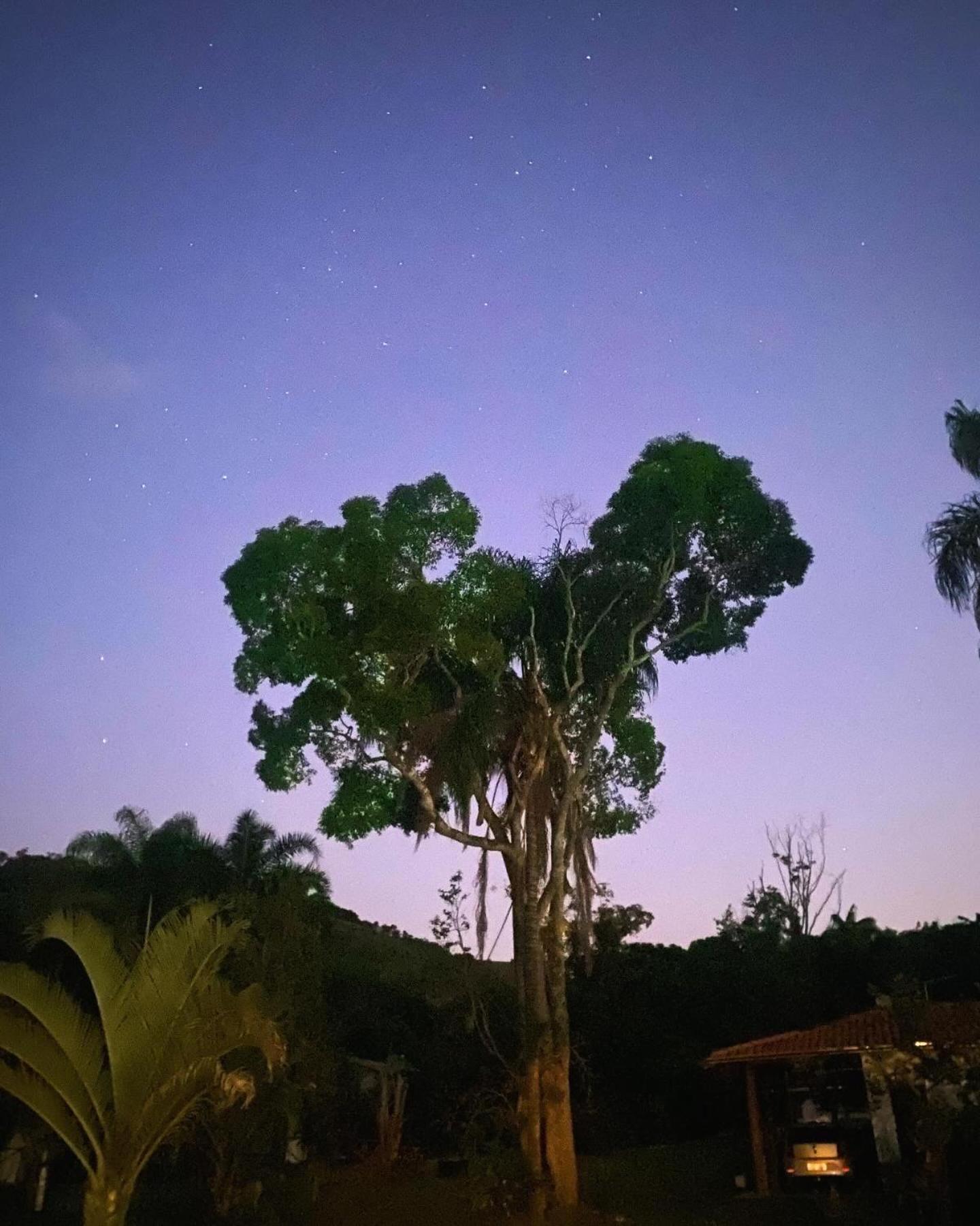 Acalanto Inn Socorro  Exteriér fotografie