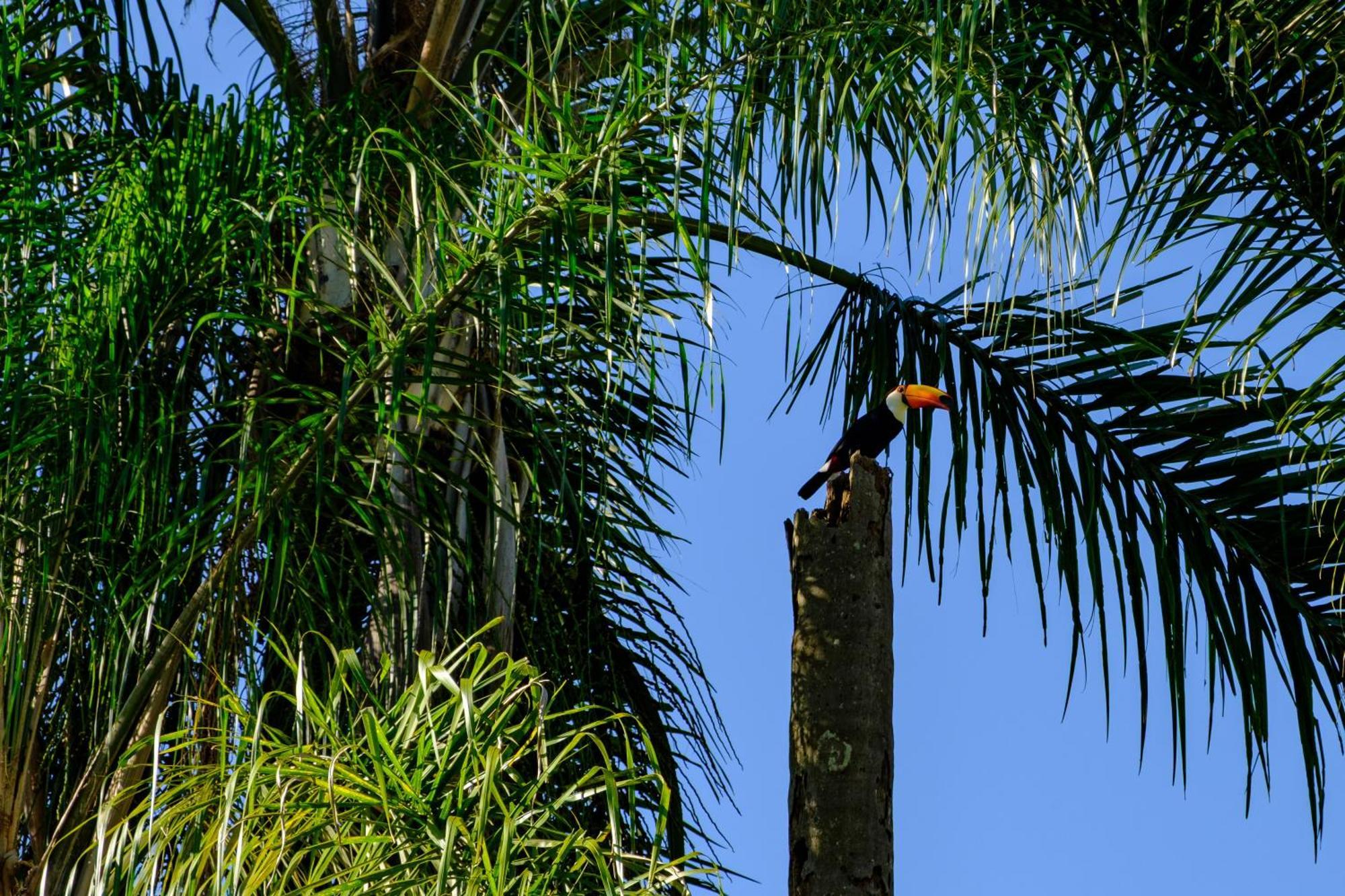 Acalanto Inn Socorro  Exteriér fotografie